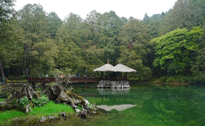 阿里山住宿推薦 阿里山住宿推薦