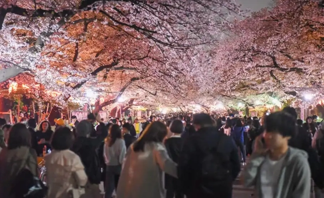 上野 夜間 景點 上野 夜間 景點