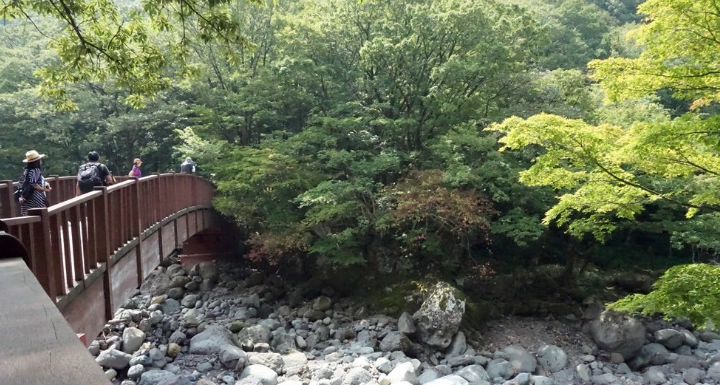 漢拿山登山路線 漢拿山登山路線