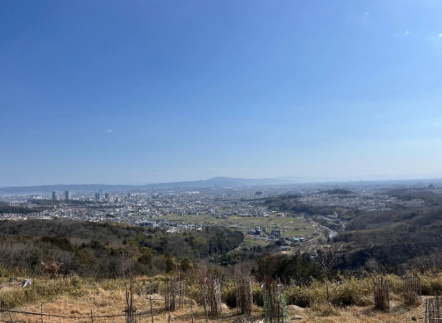 鹿谷楊梅山 鹿谷楊梅山