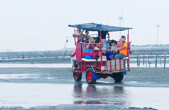 芳苑海牛體驗 芳苑海牛體驗