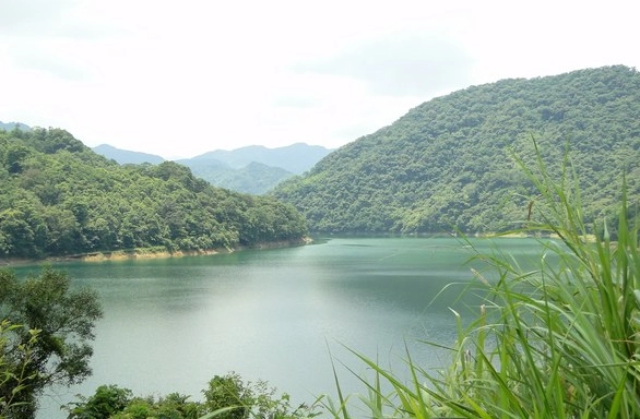 鷺鷥潭 景點 鷺鷥潭 景點