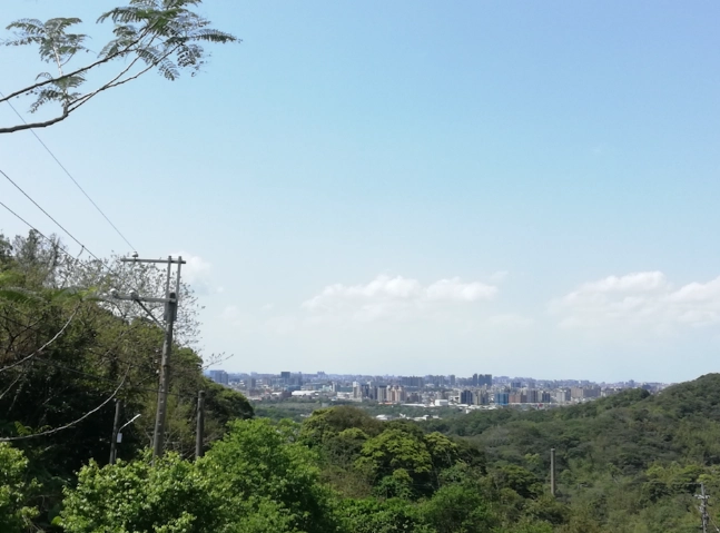 桃園步道秘境全攻略：5條隱藏山林小徑交通路線一次看