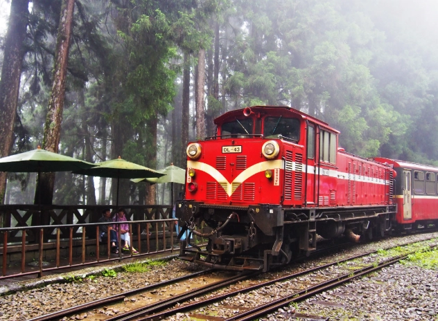 寵物友善阿里山行程