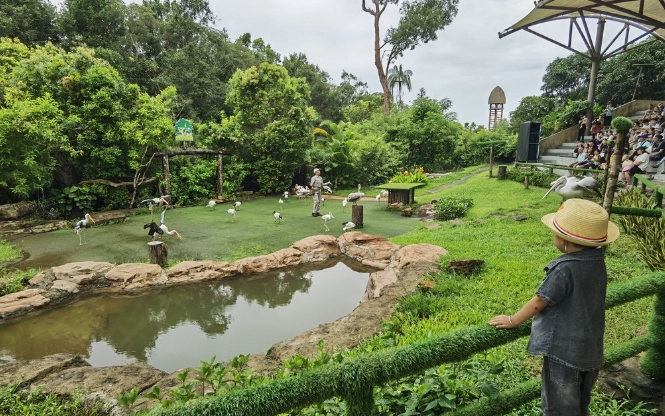 桃園親子景點 桃園親子景點