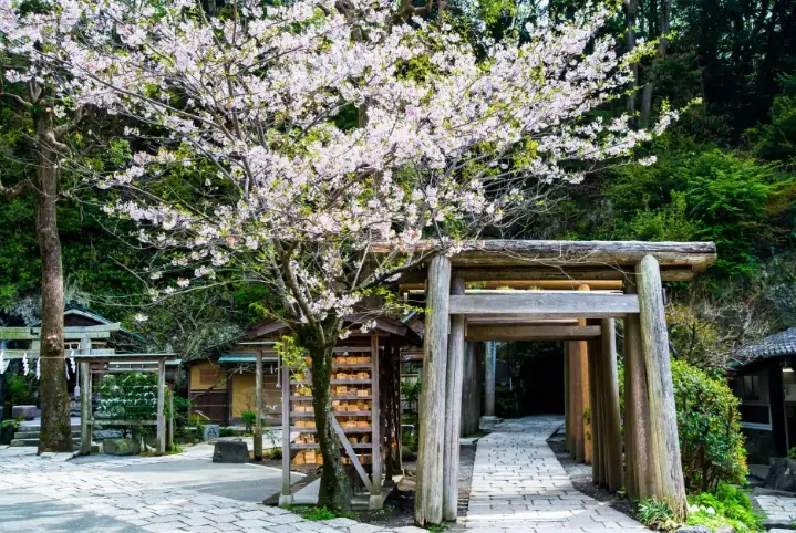 鎌倉交通攻略 鎌倉交通攻略