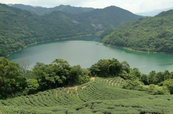 鷺鷥潭 景點 鷺鷥潭 景點