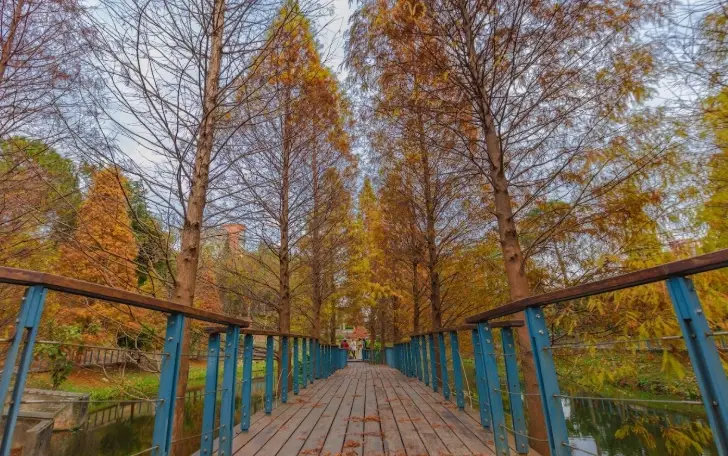 桃園健行景點 桃園健行景點