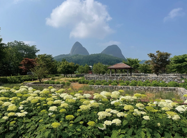 韓國百名山全攻略：從初學到老手的登山指南與必訪山峰推薦