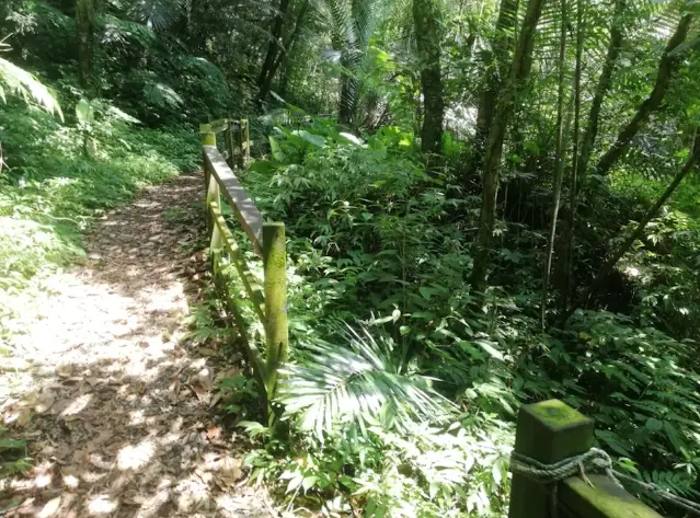 桃園健行景點 桃園健行景點