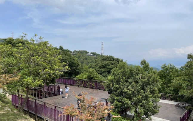 楊梅山賞螢 楊梅山賞螢