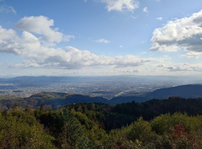 楊梅山步道健行攻略：賞螢、交通、秘境一次掌握