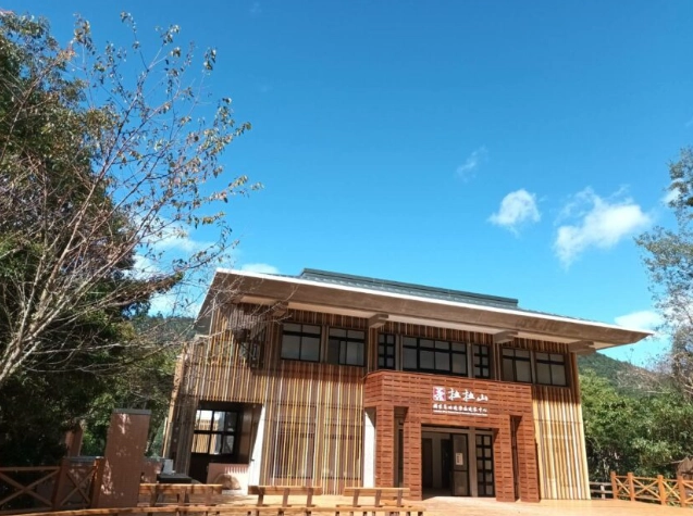 拉拉山寵物景點全攻略：帶毛孩探訪巨木與雲海的完美行程