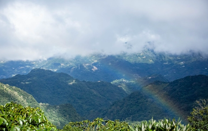 桃園十大景點全攻略：從山林秘境到親子樂園的完美行程