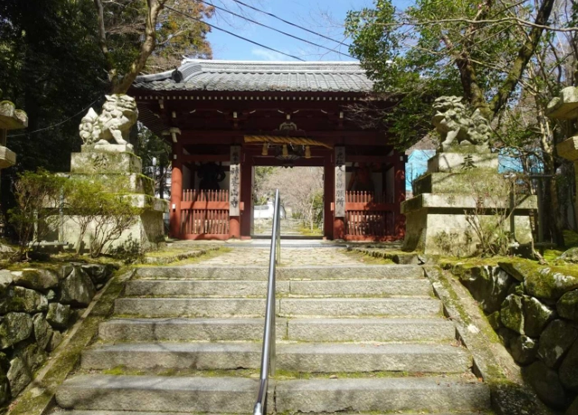 楊梅山賞螢 楊梅山賞螢