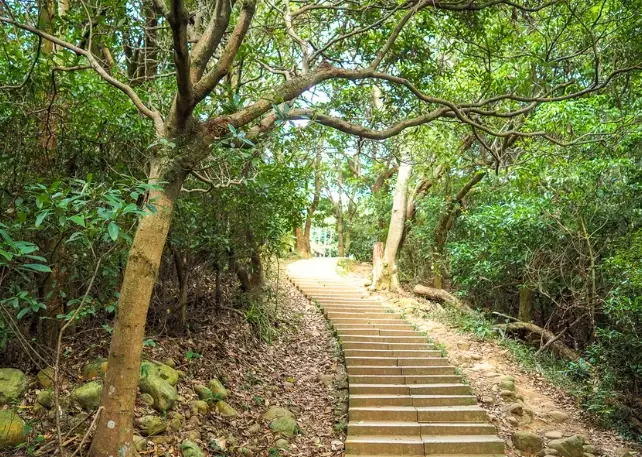 桃園登山步道 桃園登山步道