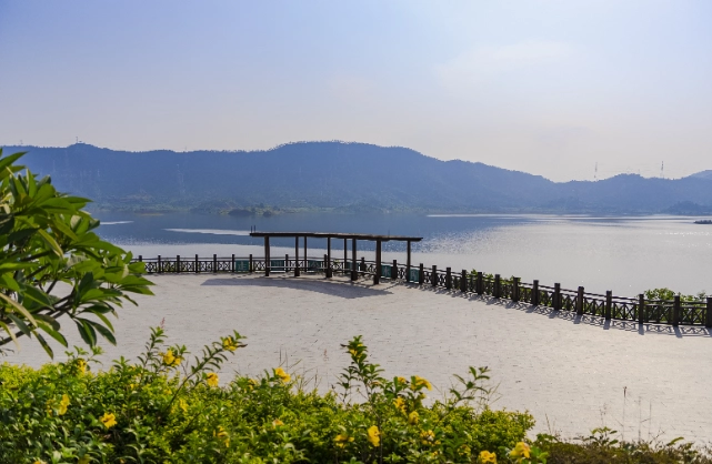 鹿谷楊梅山 鹿谷楊梅山