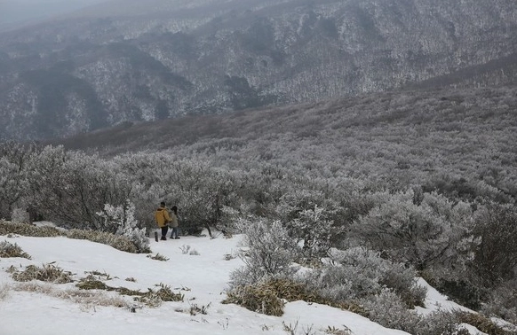 漢拿山御乘生岳路線全攻略：新手也能征服的濟州火山健行