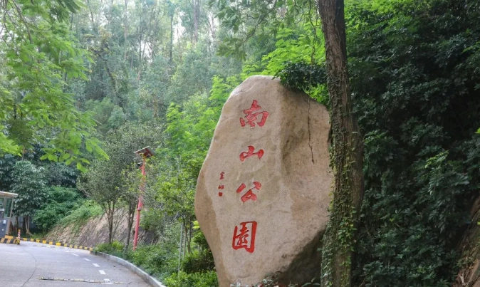 南山公園爬山攻略：步道路線、交通、周邊美食全解析