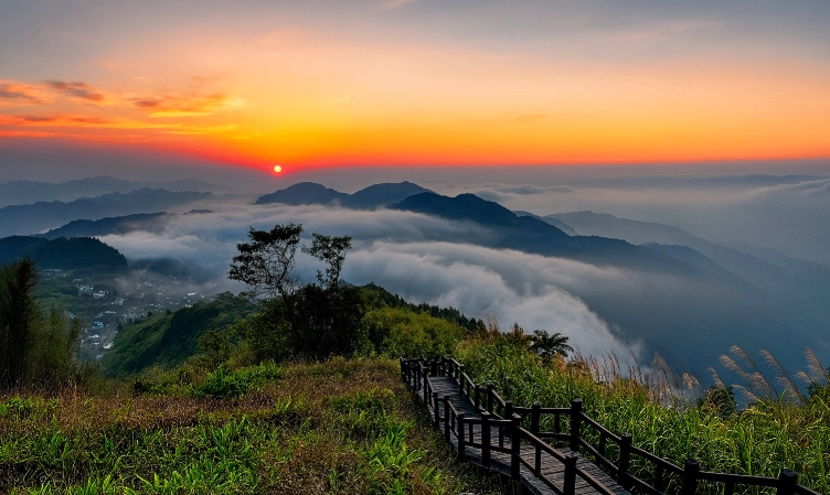 阿里山森林鐵路 阿里山森林鐵路