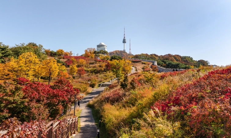 南山公園交通 南山公園交通
