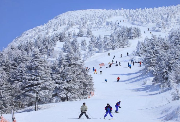 藏王滑雪場自駕 藏王滑雪場自駕