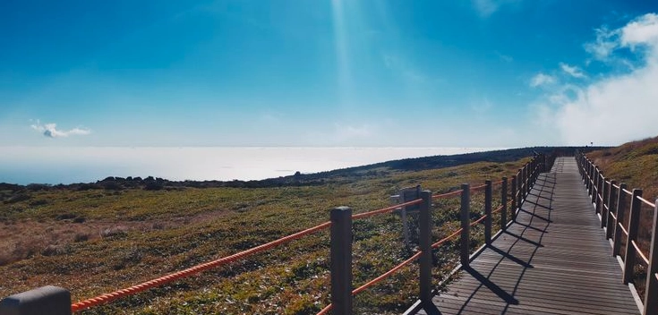 漢拏山登山路線 漢拏山登山路線