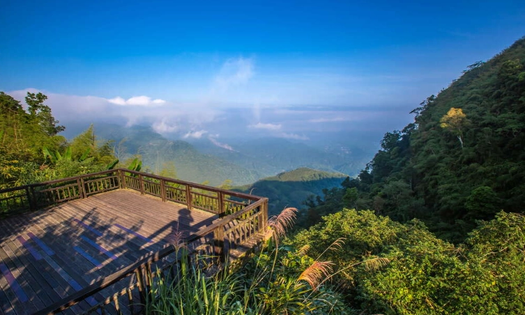 阿里山自駕
