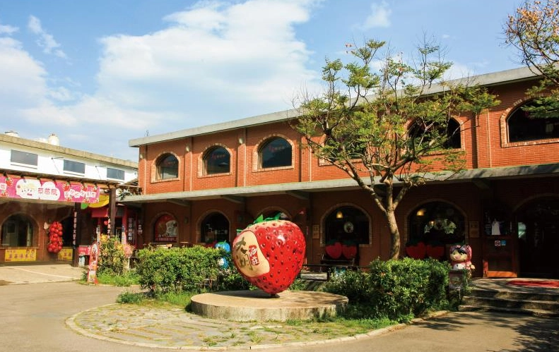 大湖草莓園推薦 大湖草莓園推薦