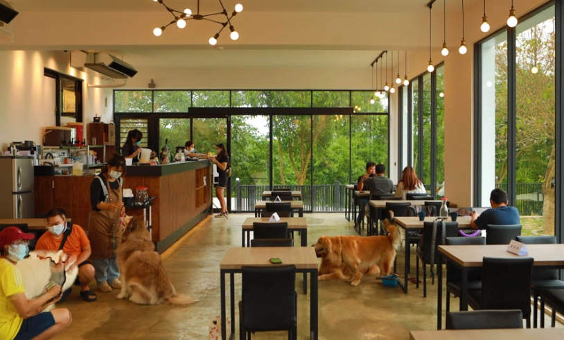 寵物友善餐廳推薦 寵物友善餐廳推薦