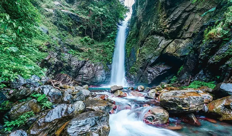 谷關秘境私房路線全攻略：超越溫泉的隱藏版山林體驗