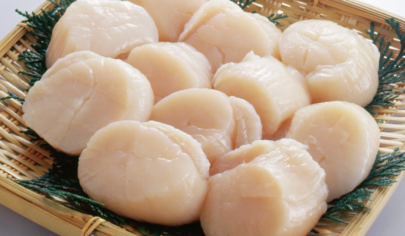 生食干貝挑選 生食干貝挑選