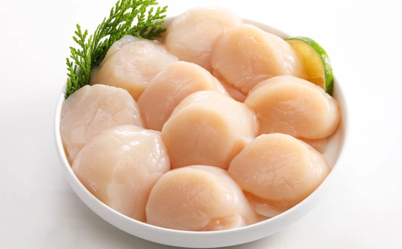 生食干貝挑選 生食干貝挑選
