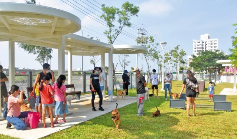 高雄寵物友善景點全攻略：帶毛孩出遊必備行程與私房景點