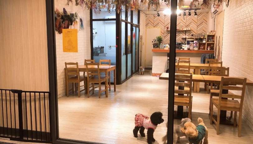 鹿港寵物餐廳推薦｜帶毛孩一日遊必訪3間友善餐廳與行程規劃