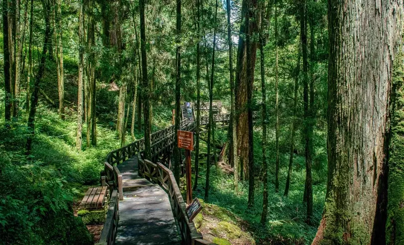 台灣必去景點 台灣必去景點