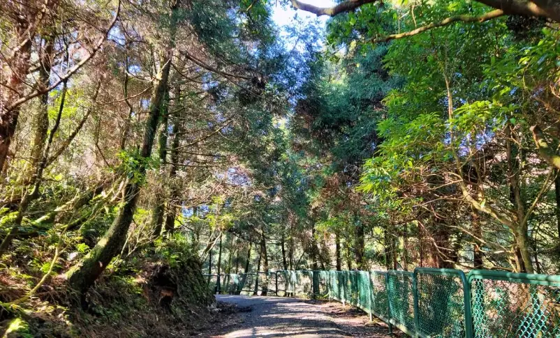 台北步道 台北步道