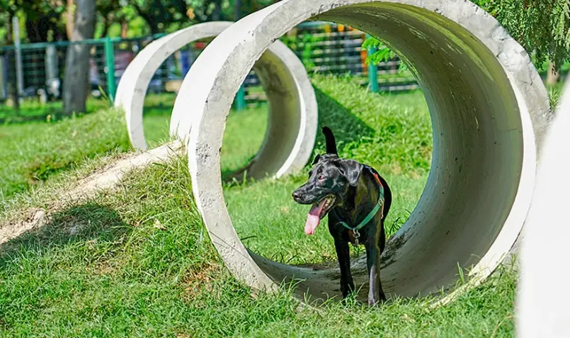 高雄寵物公園 高雄寵物公園