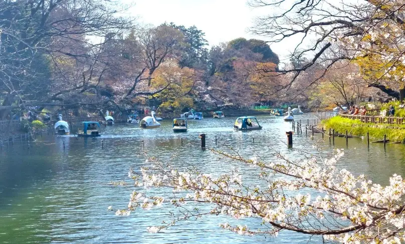 東京自由行攻略