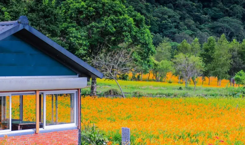 花東三日遊行程規劃：山海慢活深度路線與私房景點推薦