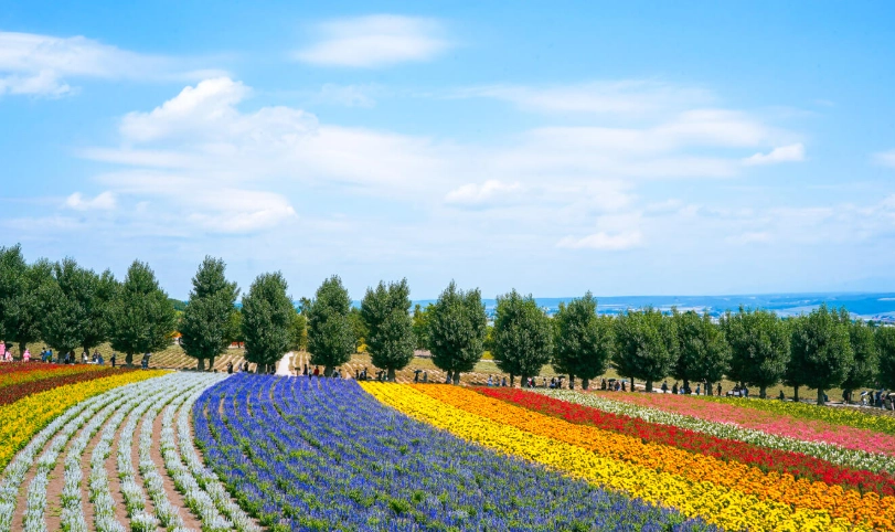 北海道自駕遊 北海道自駕遊