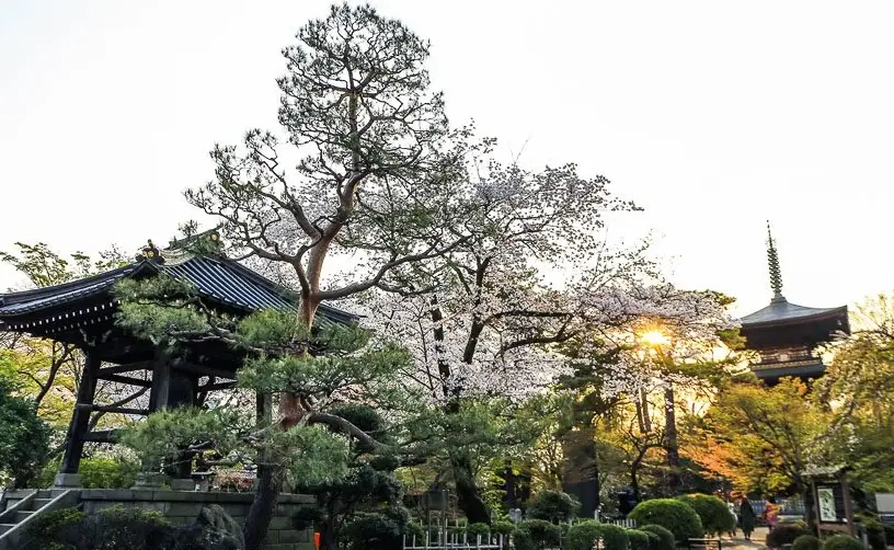 東京深度旅遊
