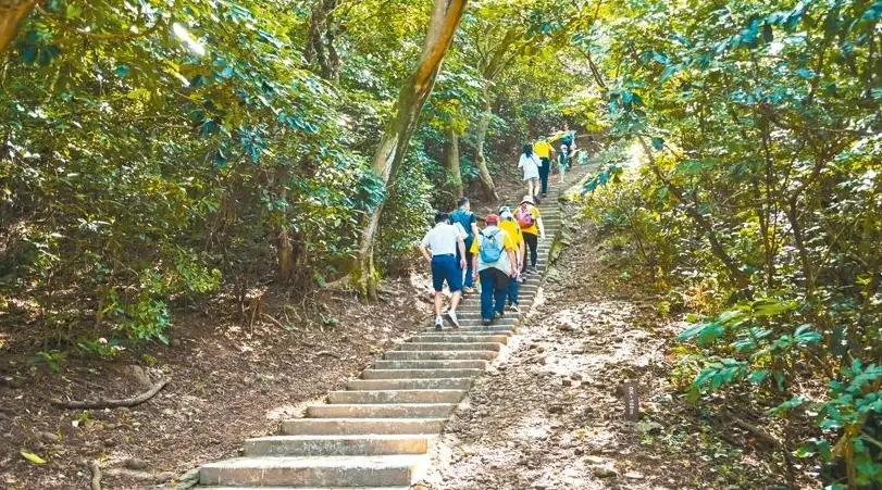 桃園步道推薦 桃園步道推薦
