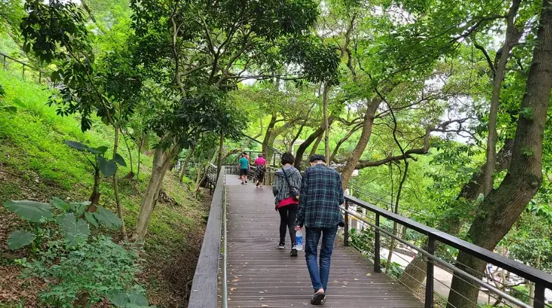 適合老人的步道 適合老人的步道