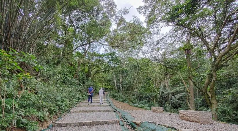 桃園步道推薦：精選5條適合長輩的平緩健行路線