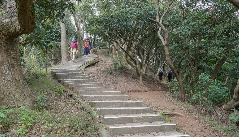 桃園步道推薦 桃園步道推薦