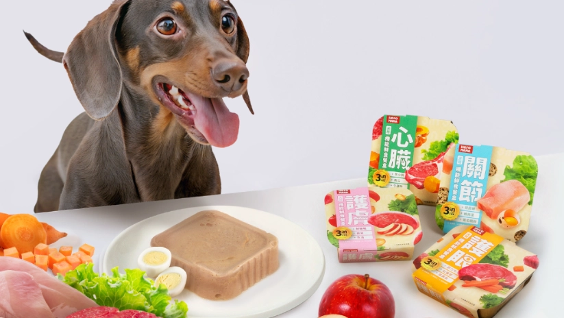 狗狗鮮食食譜全攻略：5道營養餐點自製教學與常見錯誤解析