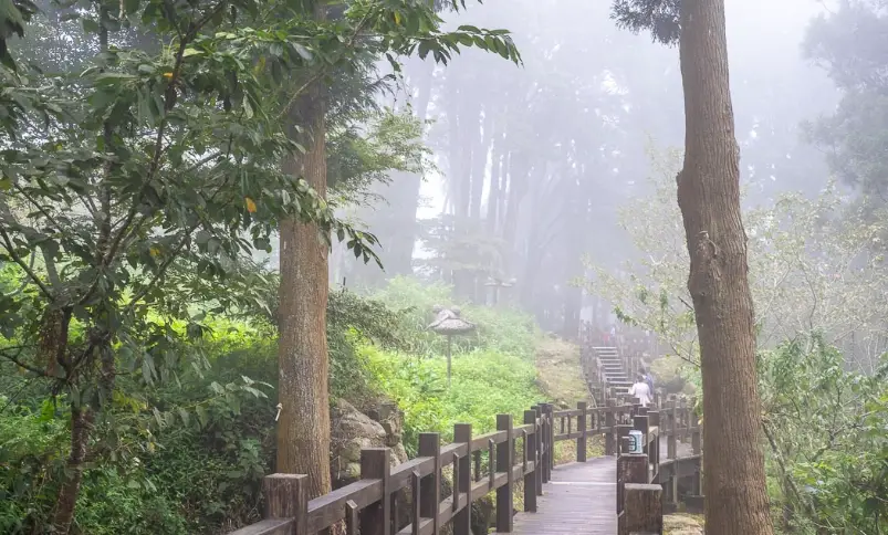 奮起湖一日遊