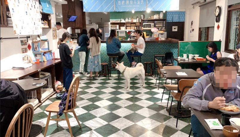 帶狗餐廳 北台灣 帶狗餐廳 北台灣