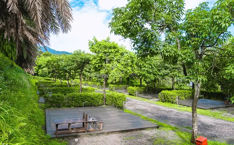 金山皇后鎮森林